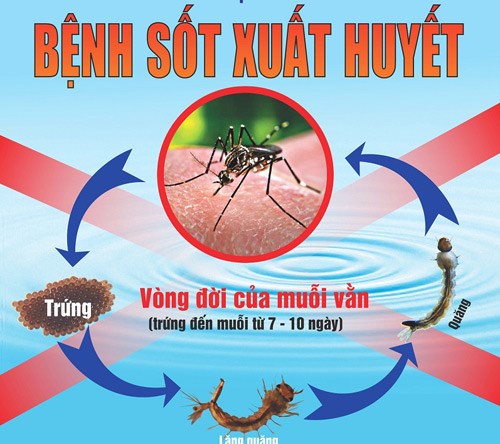 Sốt xuất huyết đang có nguy cơ bùng phát thành dịch, nhất là thời tiết thường hay mưa vào buổi chiều, muỗi dễ sinh sản nhanh. (04/7/2017)